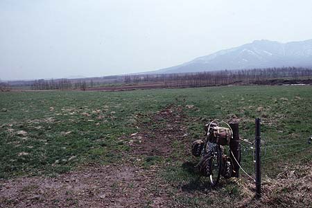 1999/5/1　円山牧場にて　Canon T90 FD20-35mm1:3.5L SL PKR