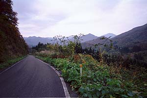 曇り空がイマイチではあるが紅葉の山々を眺める峠道