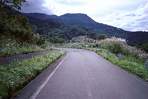 菱ヶ岳林道へ