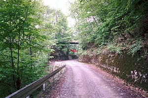 十文字峠からの道と合流　珍しい林道のオーバークロス