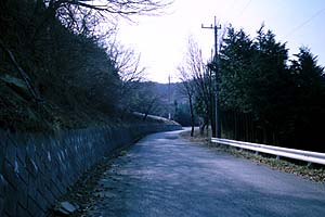 丸山林道