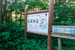 日本一なが〜い林道の看板