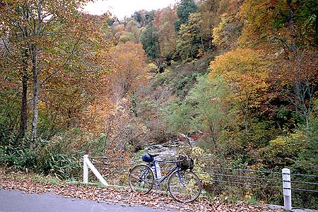 照葉峡　見事な紅葉と渓谷