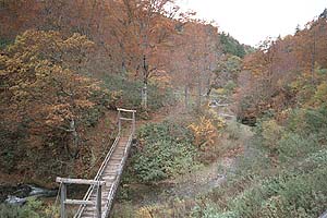 林道の吊り橋