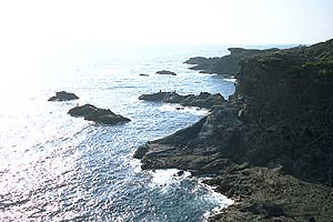 まぶしい太陽に輝く海　たくましい岩　これが伊豆半島先端