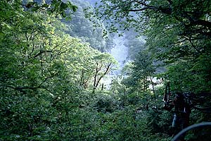 登りが多くなる　木々の間から湯桧曽川を見下ろす