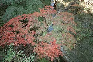 渓流と紅葉が見事
