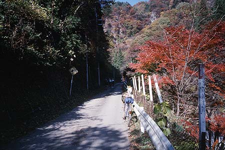 田口峠　県境の先　岸壁迫る谷間の道　紅葉の脇でニューサイ写真