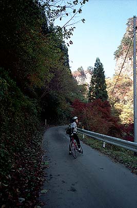 岩山と紅葉、見事な風景に足が止まる