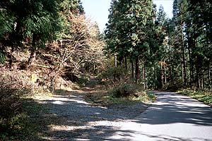 星尾峠への林道が分岐