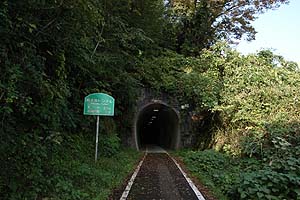 元非電化線だけあってトンネル断面は小さい
