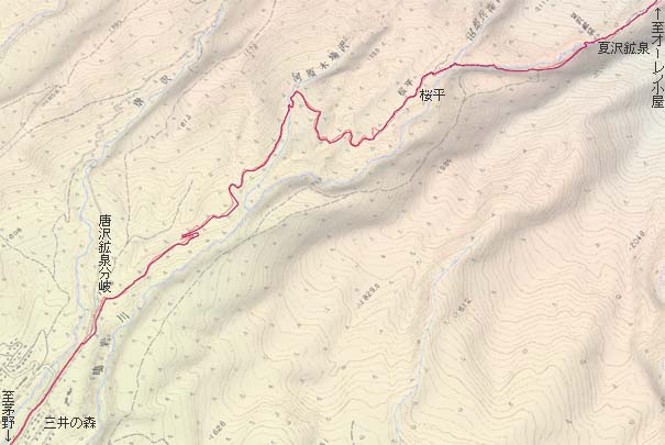 唐沢鉱泉分岐から桜平経由で夏沢鉱泉へ　赤は本日の経路
