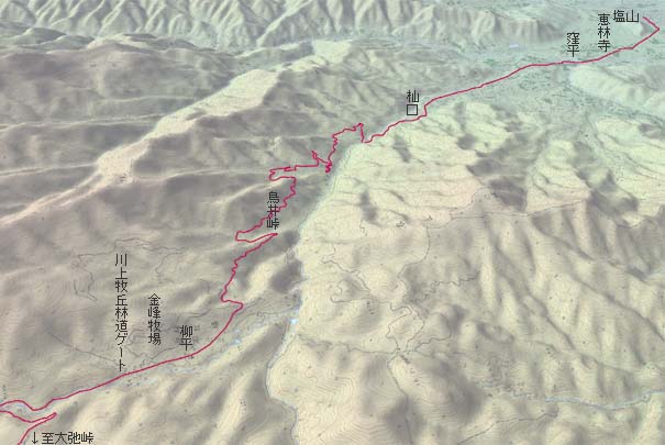 塩山から杣口林道経由で柳平･川上牧丘林道へ　赤は本日の経路