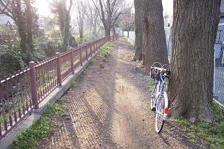武蔵野市西久保　浄水場脇のダート　柵がうるさいがダート自体は良好