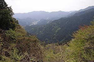 名栗川の谷間を見下ろす