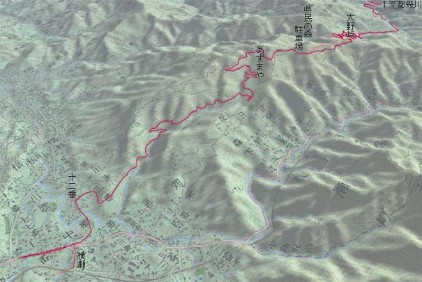 横瀬から丸山林道経由で大野峠、武蔵嵐山へ　赤は本日の経路