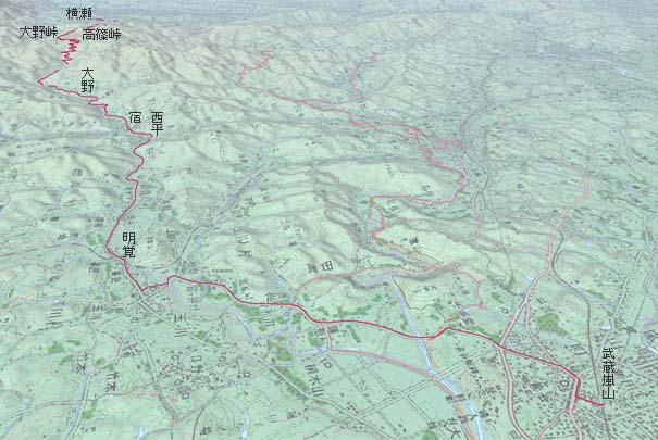横瀬から丸山林道･大野峠経由で武蔵嵐山へ　赤は本日の経路