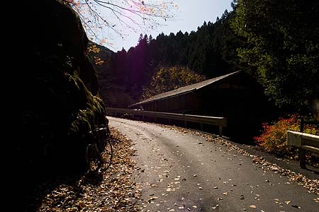 塩ノ沢峠へ向かう県道45　激坂集落の桧沢には秋が一杯　RICOH GR DIGITAL 3 GR6.0mm1:1.9