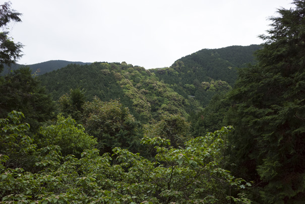密林に覆われた南国の小山　RICOH GR�U GR18.3mm1:2.8
