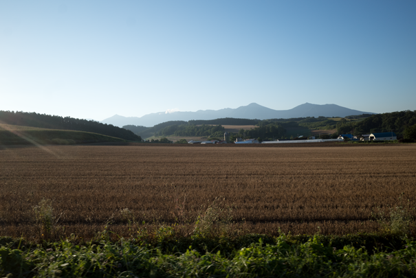 �@RICOH GR�V GR18.3mm1:2.8