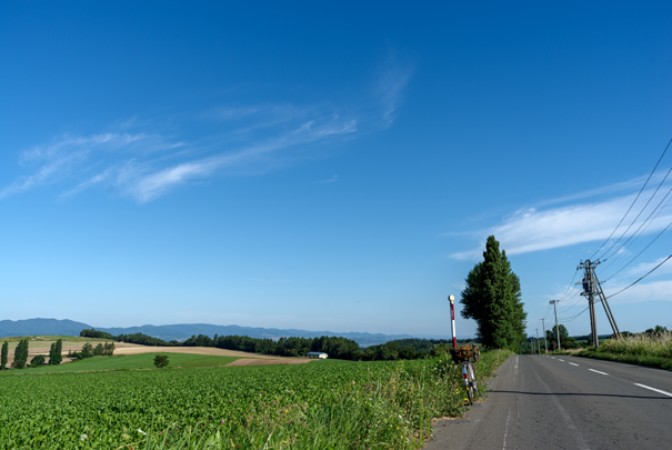 �@RICOH GR�V GR18.3mm1:2.8