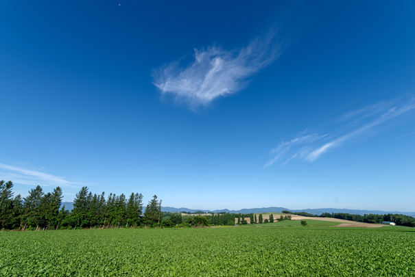 �@RICOH GR�V GR18.3mm1:2.8