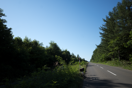 �j���[�T�C�ʐ^�@RICOH GR GR18.3mm1:2.8