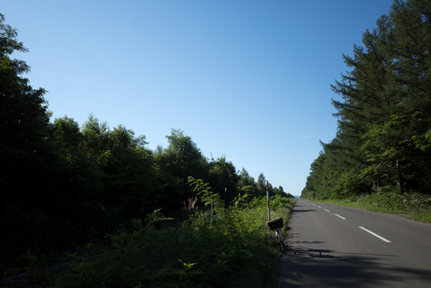 �@RICOH GR�V GR18.3mm1:2.8