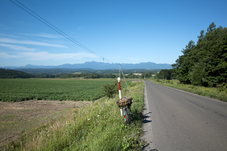 �j���[�T�C�ʐ^�@RICOH GR GR18.3mm1:2.8