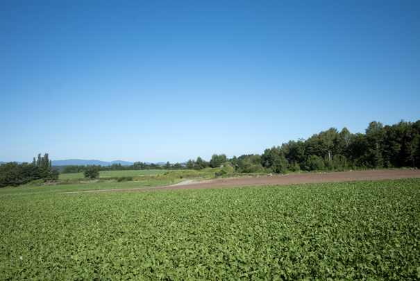 �@RICOH GR�V GR18.3mm1:2.8