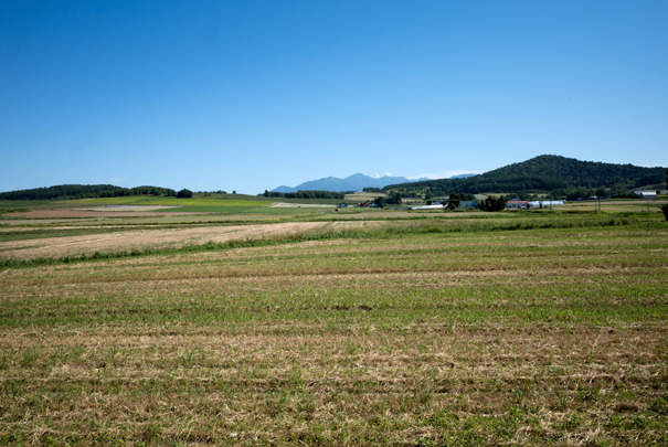 �@RICOH GR�V GR18.3mm1:2.8