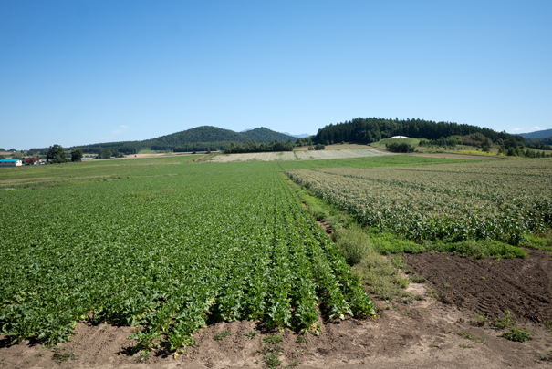 �@RICOH GR�V GR18.3mm1:2.8