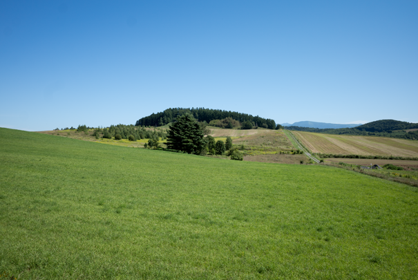 �@RICOH GR�V GR18.3mm1:2.8