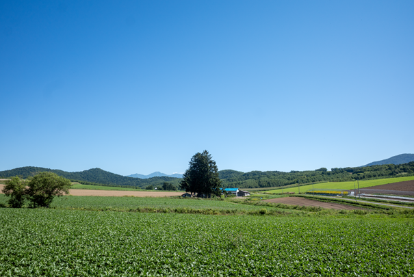 �@RICOH GR�V GR18.3mm1:2.8