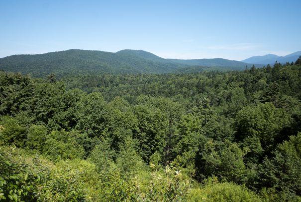 �@RICOH GR�V GR18.3mm1:2.8