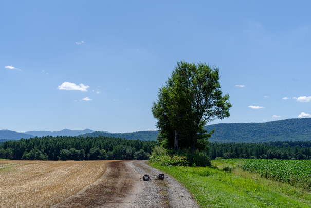 �@RICOH GR�V GR18.3mm1:2.8