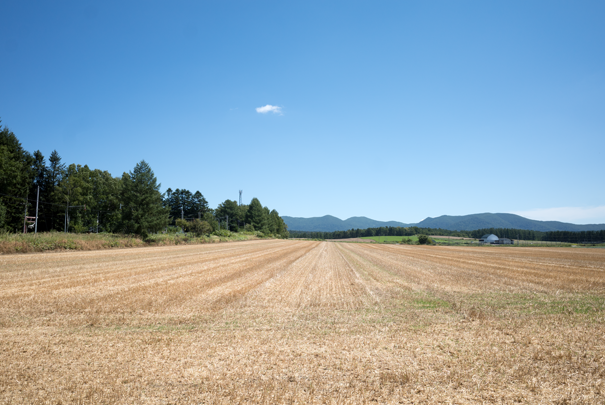 �@RICOH GR�V GR18.3mm1:2.8