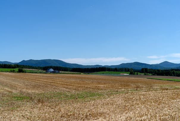 �@RICOH GR�V GR18.3mm1:2.8