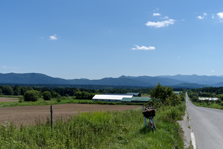 �j���[�T�C�ʐ^�@RICOH GR GR18.3mm1:2.8