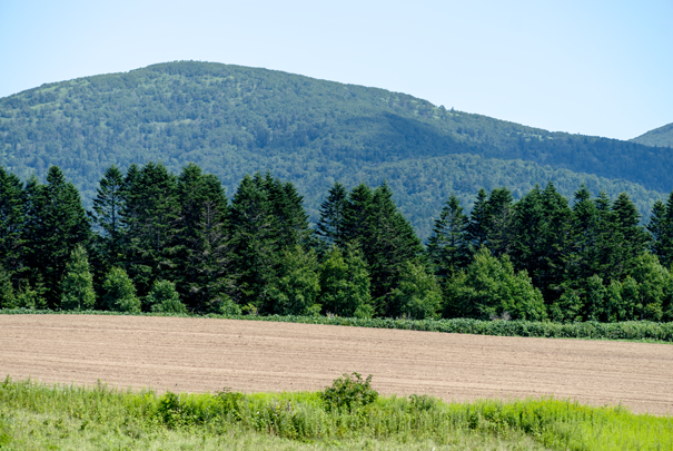 �@RICOH GR�V GR18.3mm1:2.8