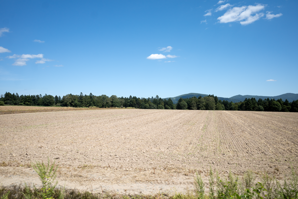 �@RICOH GR�V GR18.3mm1:2.8