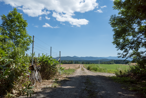 �@RICOH GR�V GR18.3mm1:2.8