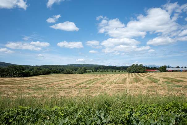 �@RICOH GR�V GR18.3mm1:2.8