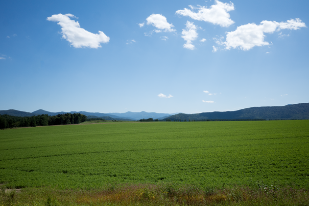 �@RICOH GR�V GR18.3mm1:2.8