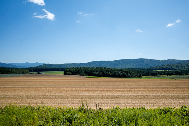 �@RICOH GR�V GR18.3mm1:2.8