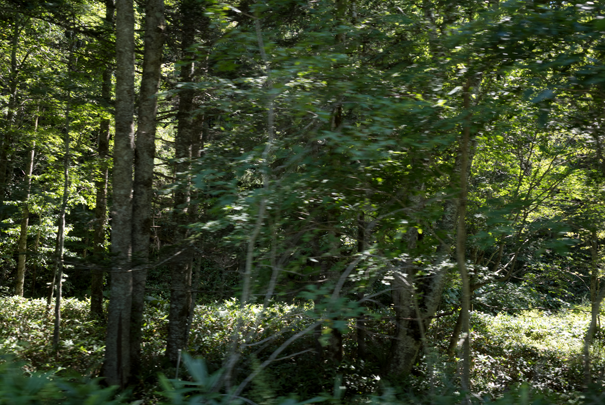 �@RICOH GR�V GR18.3mm1:2.8