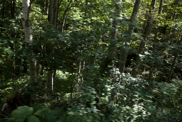 �@RICOH GR�V GR18.3mm1:2.8