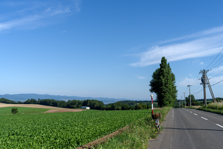 #10 ��m�S��x�ǖ쒬�{�K�ɂ� PENTAX K-1 MarkII HD PENTAX-FA43mm1:1.9 Limited