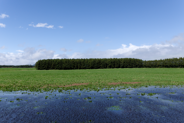 �@RICOH GR�W GR18.3mm1:2.8