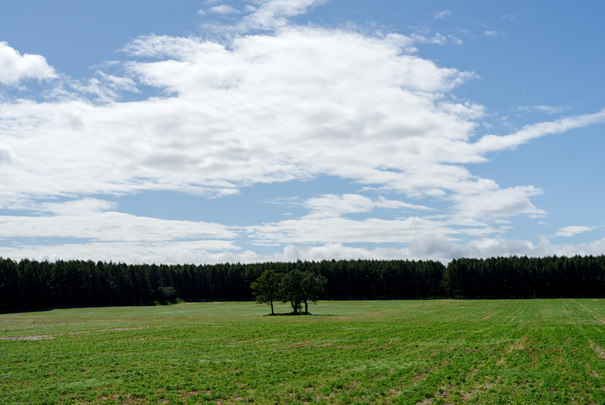 �@RICOH GR�W GR18.3mm1:2.8